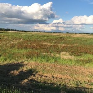 Meet your Posher, Jolie